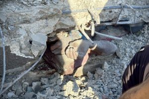Sekitar 8.000 Jenazah Diduga Masih Tertimbun di Gaza, Pembersihan Reruntuhan Diperkirakan Hingga 7 Tahun